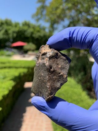 Meteorite Nwa,  Unclassified 76.  27 Grams,  Gorgeous Individual