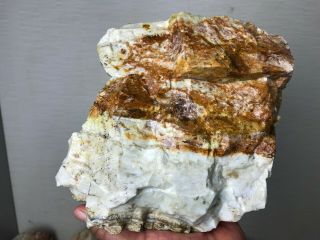 Solid Green & Brown Dendritic Agatized Opal Rough - 12 Lbs From - Africa