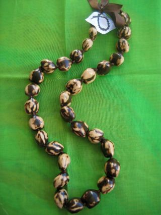 Hawaii Wedding / Graduation Kukui Nut Lei Hula Jewelry Necklace Brown (qty 2)