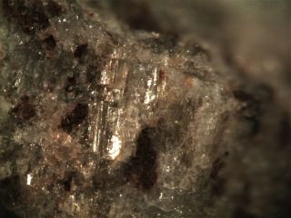 Wenkite Rare Mineral Micromount From Italy