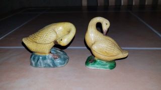 Antique Or Vintage Chinese Yellow Ducks Geese Ceramic Figurines