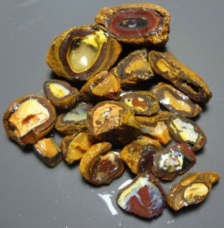 Lapidary: 1305 Carat Parcel Of Natural Yowah Nuts.  Boulder Opal Rough Specimens
