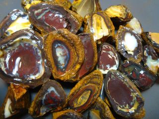 Lapidary: 1265 Carat Parcel Of Natural Yowah Nuts.  Boulder Opal Rough Specimens