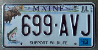 2013 Maine Fish & Moose " Support Wildlife " License Plate.