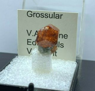 Grossular Garnet On Diopside Eden Mills V.  A.  G Quarry Vermont Mineral Specimen Tn