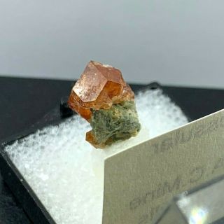 Grossular Garnet on Diopside Eden Mills V.  A.  G Quarry Vermont mineral specimen TN 3