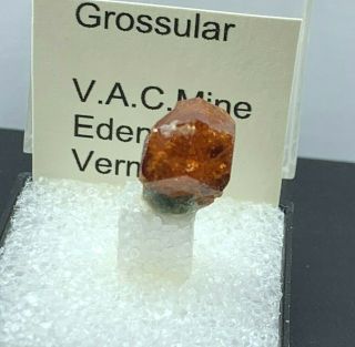 Grossular Garnet on Diopside Eden Mills V.  A.  G Quarry Vermont mineral specimen TN 4