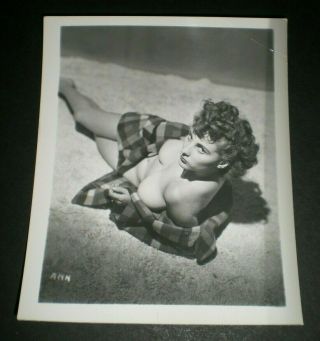 Donna " Busty " Brown - Vintage 4x5 Photo - Original/pinup/girl/nude/model/1950