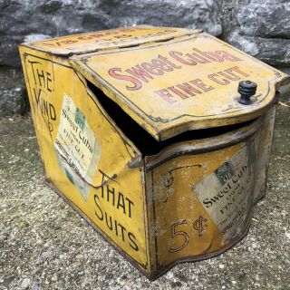 Vintage Sweet Cuba Light Fine Cut Tobacco Tin Display Canister Box With Lid Bin