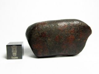 Nwa X Meteorite 46.  87g Fabulous Flight Marked Firestone