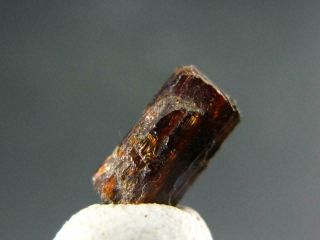Very Rare Painite Crystal From Asia - 1.  65 Carats