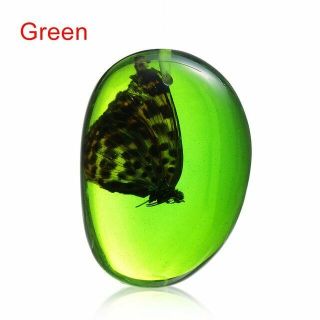 Larvae Fossil Butterfly Inclusion In Natural Baltic Green Amber Gemstone Manmade