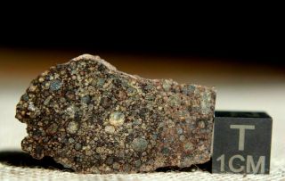 Nwa 10686 L3 Primitive Chondrite Meteorite 2.  3 Gram Part Slice Type 3