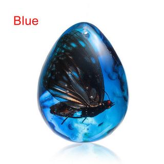 Larvae Fossil Butterfly Inclusion In Natural Baltic Blue Amber Gemstone Man - Made