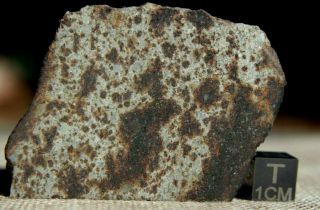 Nwa 7650 L6 Chondrite Meteorite 39 Gram Part Slice With Metal