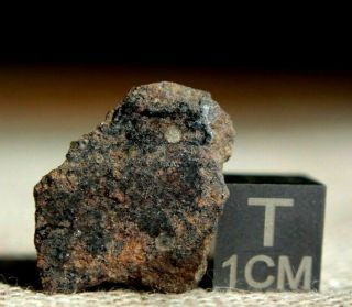 Barnstable H4 Chondrite Meteorite 2g Frag From Massachusetts Found On 4/6/2019