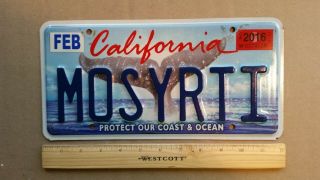 License Plate,  California,  Protect.  Whale 