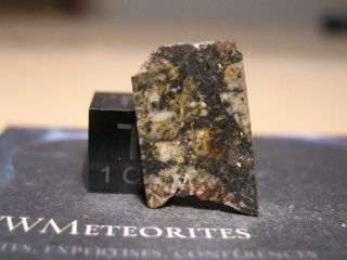 Meteorite Nwa 12481 - Hed Achondrite : Eucrite - Melt Breccia