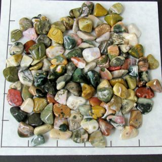 Ocean Jasper,  Mini - Xsm Tumbled,  1/2 Lb Bulk Stones Orbicular 1/2 - 3/4 "