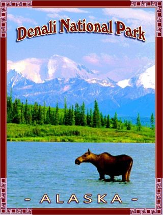 Denali National Park Alaska United States America Travel Advertisement Poster