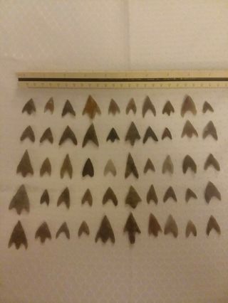 50 Neolithic African Arrowhead Points From Kenya