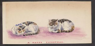 C5715 Victorian Hand Painted Xmas Card: Cats