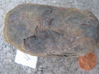 West Virginia Coprolite Jurassic Prehistoric Dinosaur Crap Dung Poo Fossil 45