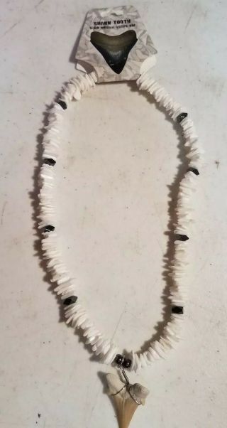 Fossil Ware Shark Tooth Necklace