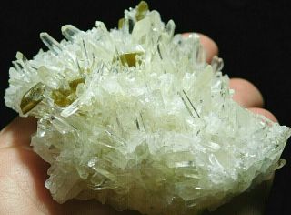 Dozens Of Perfect Points On This Quartz Crystal Cluster With Muscovite 151gr E