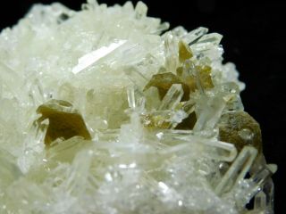 Dozens of Perfect Points On This QUARTZ Crystal Cluster With Muscovite 151gr e 2