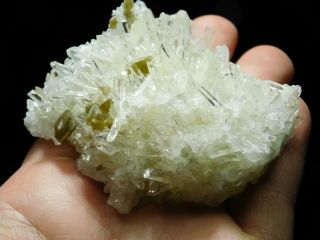 Dozens of Perfect Points On This QUARTZ Crystal Cluster With Muscovite 151gr e 5