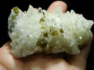 Dozens of Perfect Points On This QUARTZ Crystal Cluster With Muscovite 151gr e 6