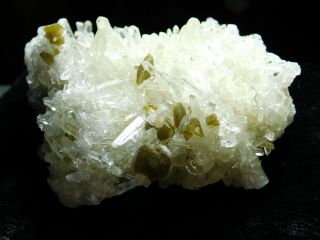 Dozens of Perfect Points On This QUARTZ Crystal Cluster With Muscovite 151gr e 7