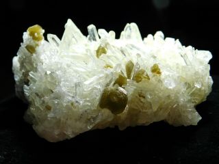 Dozens of Perfect Points On This QUARTZ Crystal Cluster With Muscovite 151gr e 8