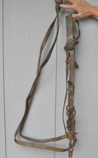 Old Antique U.  S.  Cavalry Horse Bit And Leather Bridle Headstall With Reins