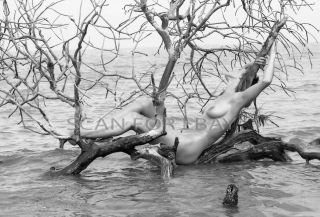 Nude 35mm Negative Busty Female Model Vintage Beach Pinup H12.  7