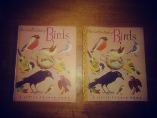 The Golden Book Of Birds A Little Golden Book Dust Cover 1943 First Print