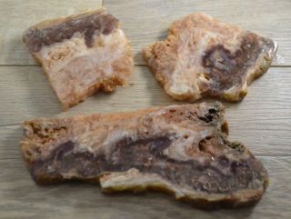 Bacon Opal Slabs Stone From Utah Cabbing Display