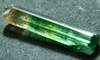 A 100 Natural Terminated Watermelon Tourmaline Crystal From Brazil 8.  72 E