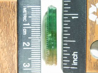 A 100 Natural Terminated Watermelon Tourmaline Crystal From Brazil 8.  72 e 2
