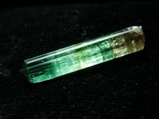 A 100 Natural Terminated Watermelon Tourmaline Crystal From Brazil 8.  72 e 4