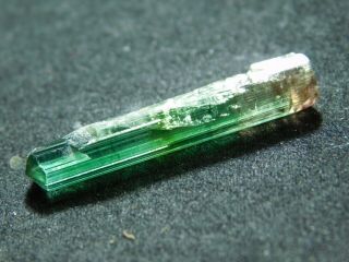 A 100 Natural Terminated Watermelon Tourmaline Crystal From Brazil 8.  72 e 7