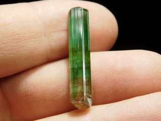 A 100 Natural Terminated Watermelon Tourmaline Crystal From Brazil 8.  72 e 8