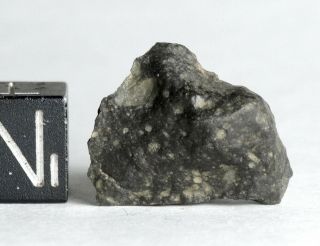 Meteorite Nwa 11436 - Rumuruti R3 - 6 (s3/w - Low) - Endcut