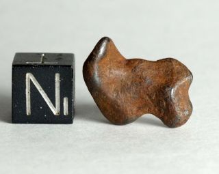 Meteorite Agoudal - Iron Iiab Individual With Shape