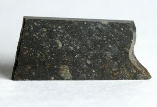 Meteorite NWA 11436 - Rumuruti R3 - 6 (S3/W - low) - Best high polished Slice 2