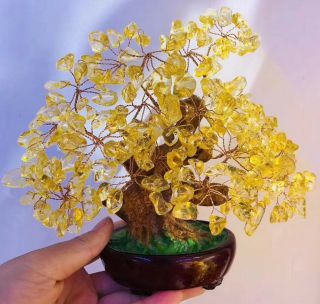 Natural Natural Citrine Gem Gemstone Chip Tree With Stones Crystal Tree Of Life