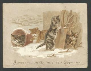 B59 - Kittens Playing In The Snow - Victorian Xmas Card
