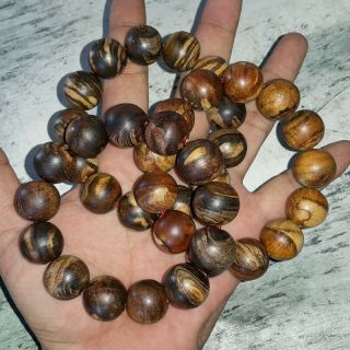 18 Mm Zebra Agarwood Bracelet 13 Beads Indonesian Gaharu Buaya Aloeswood