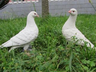 Home Garden Décor Handmade Creative Resin Lifelike Pigeon Couple Statue Figure